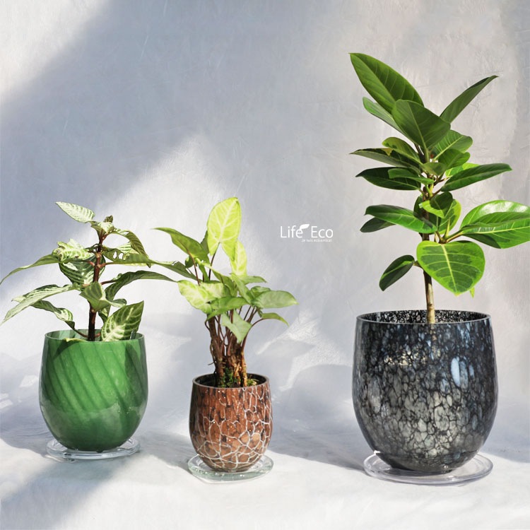 植木鉢 ガラス製インテリアポット メルト（MELT） エッグ ブラウン（茶） φ19cm×H20.5cm（6号・6寸）【底穴有・受皿付】【送料E】