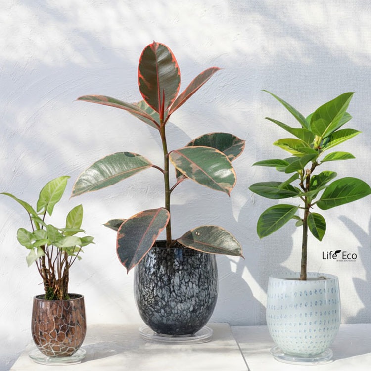 植木鉢 ガラス製インテリアポット メルト（MELT） エッグ ブラウン（茶） φ19cm×H20.5cm（6号・6寸）【底穴有・受皿付】【送料E】
