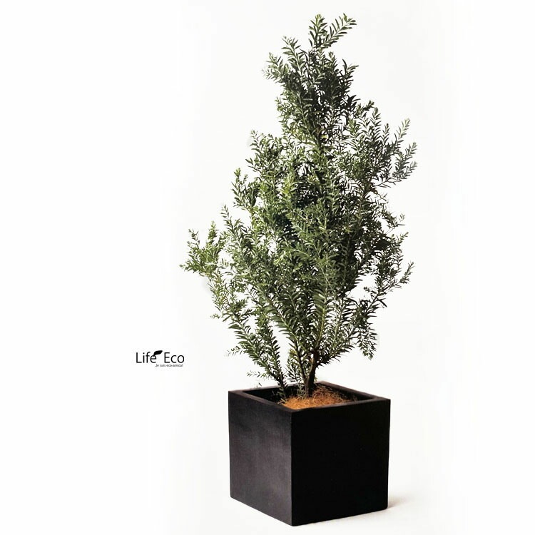 植木鉢 大型 FRP製（ファイバー） おしゃれ 軽量 BLチェルトンハム キューブ ブラック（黒）ツヤ無し マット調 □40cm×H40cm（13号）【送料E】