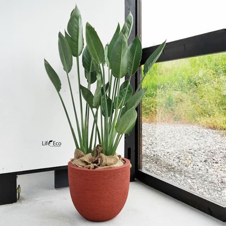 植木鉢 大型 軽量FRP製 ヴォークス ラウンド ロッソ（オレンジ 橙）/ φ36cm×H31cm（12号）【送料E】