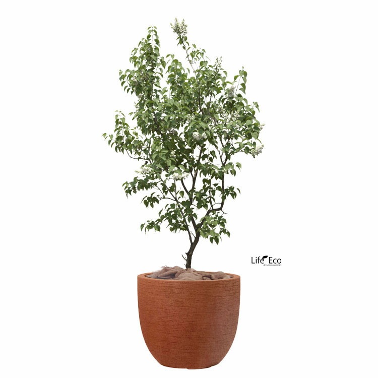 植木鉢 大型 軽量FRP製 ヴォークス ラウンド ロッソ（オレンジ 橙）/ φ36cm×H31cm（12号）【送料E】