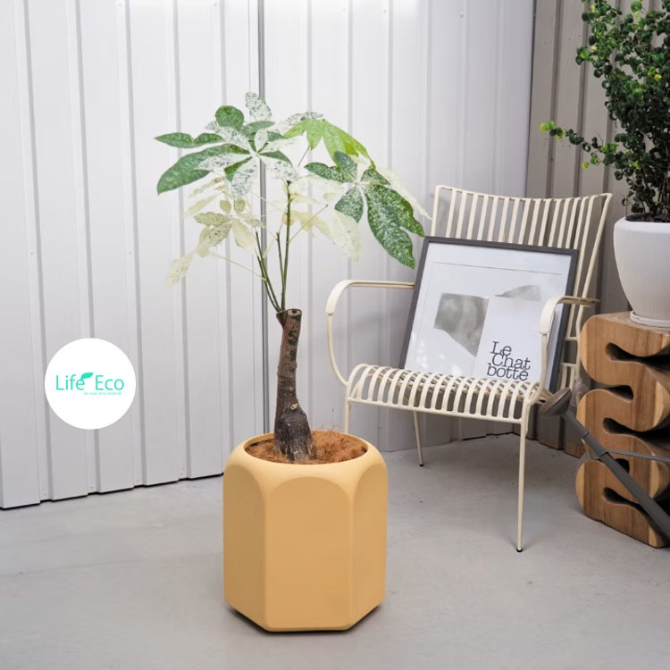 植木鉢 大型 軽量 FRP製 ソマリ（SOMARI） ヘキサゴン グレージュ