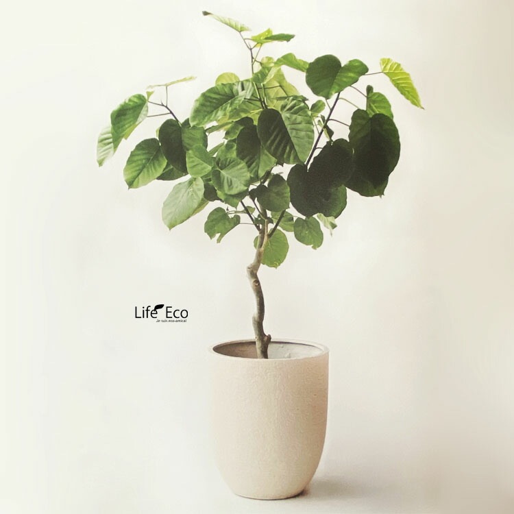 植木鉢 大型 軽量 新素材ポリストーンライト ビアス アルトエッグ ラウンド アイボリー（ホワイト 白）φ31cm×H36.5cm（10号）【送料E】