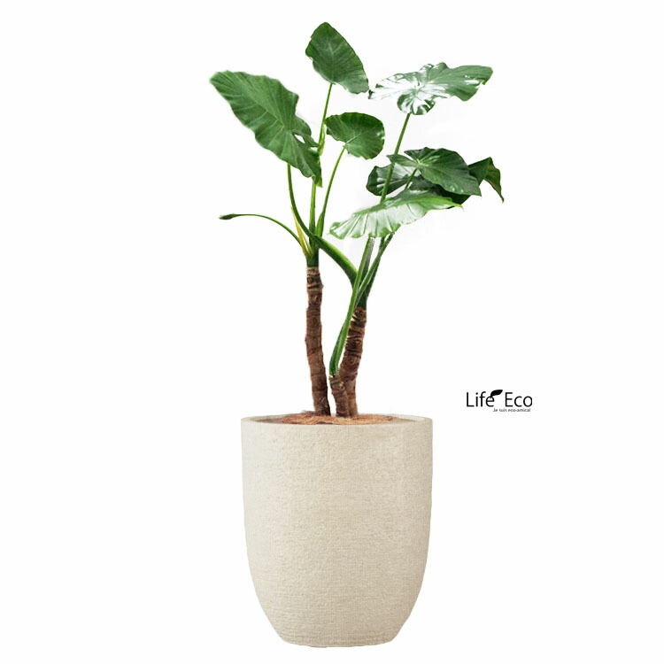 植木鉢 大型 軽量 新素材ポリストーンライト ビアス アルトエッグ ラウンド アイボリー（ホワイト 白）φ31cm×H36.5cm（10号）【送料E】