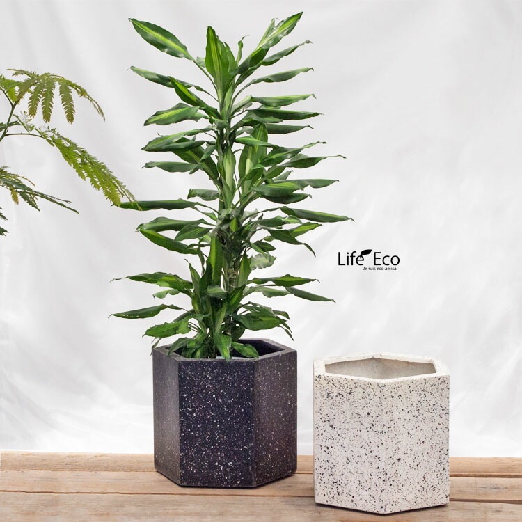 植木鉢 大型 軽量 ゾア ヘキサゴン ブラック（黒）/ φ37cm×H32cm（12号）【送料E】