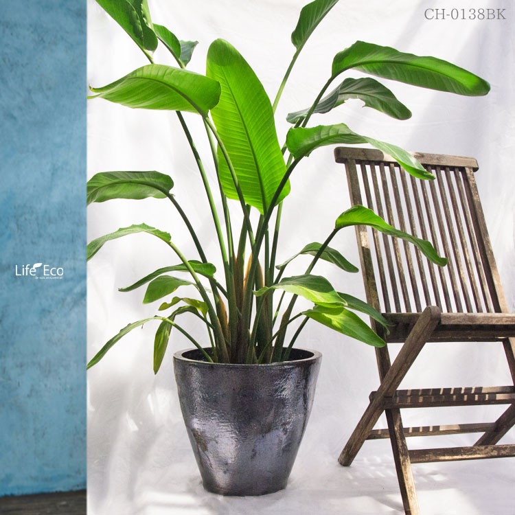 植木鉢 釉薬陶器製 大型 ライスター ラウンド ブラック（黒） φ45cm×H40cm（15号）【送料G】