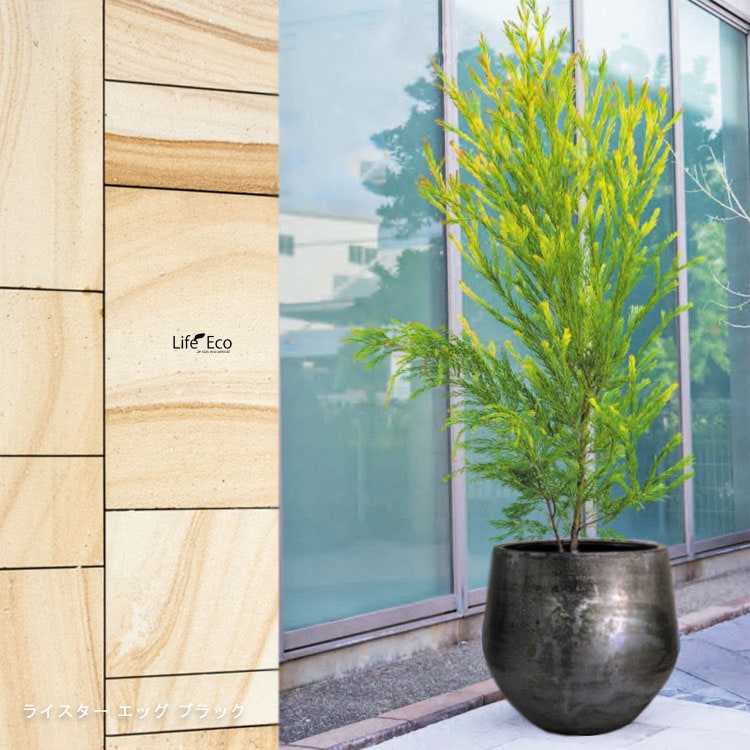 植木鉢 釉薬陶器製 大型 ライスター ラウンド ブラック（黒） φ45cm×H40cm（15号）【送料G】