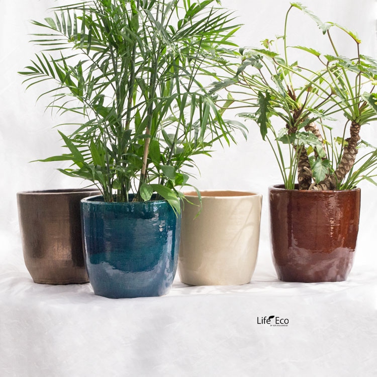 青緑色の陶器鉢 多肉植物*10 青緑色の陶器鉢 多肉植物*10 陶器鉢 植木鉢 ミニポット 底穴あり
