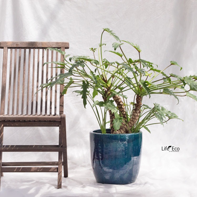 植木鉢 釉薬陶器製 ループ ラウンド ターコイズ（ブルー・青） φ30.5cm