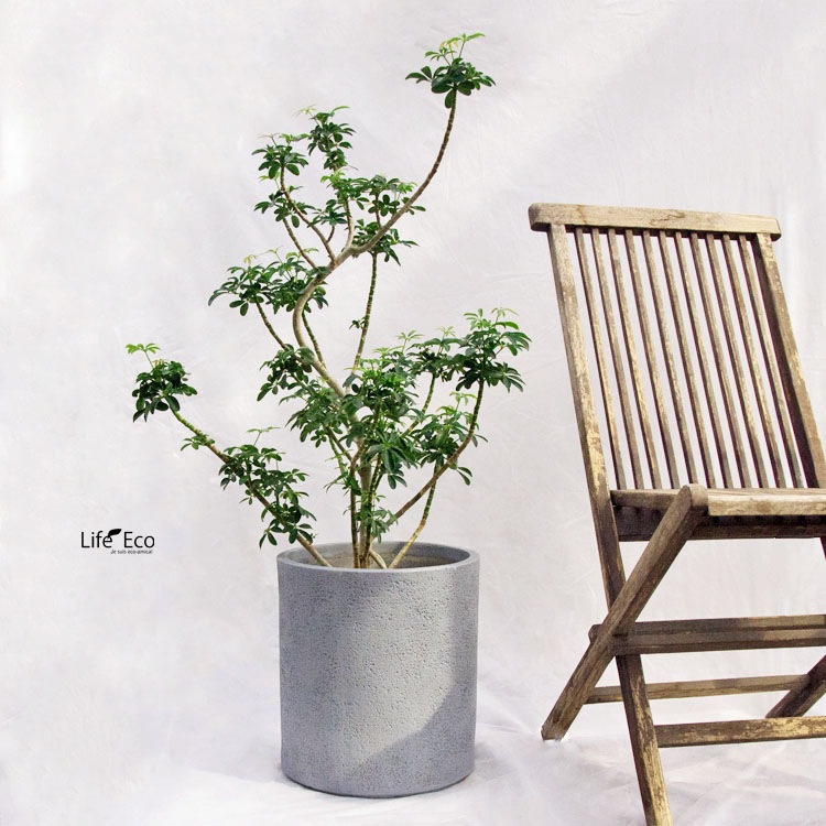 植木鉢 ファイバークレイ製 グレイニー シリンダー ブラック（黒） / φ41cm×H44cm（14号）【送料F】