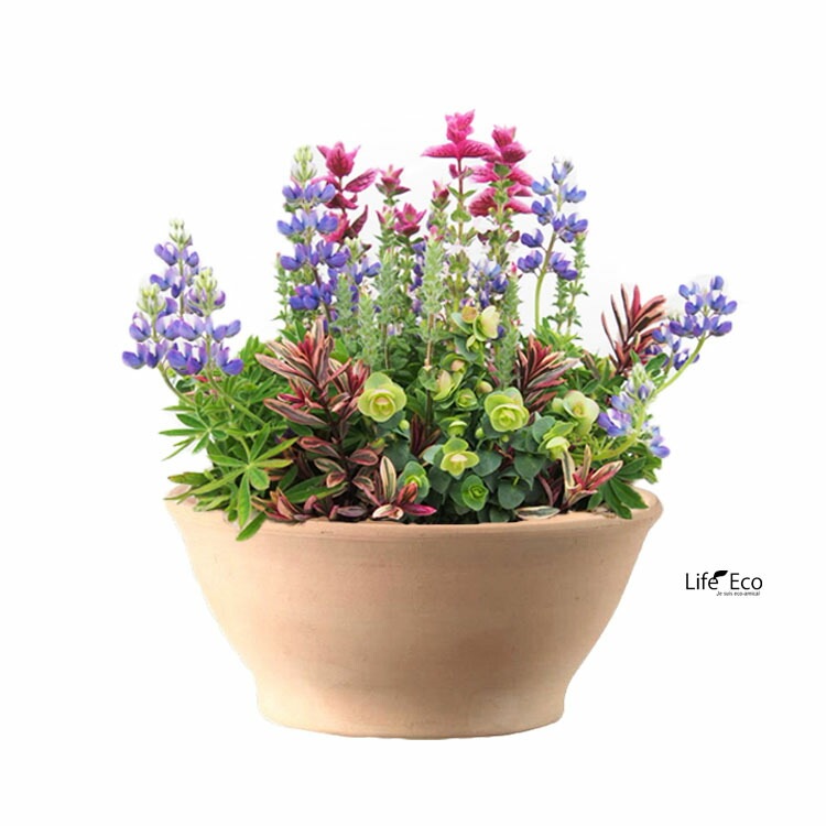 植木鉢 イタリア製 テラコッタ鉢 スムーズボール 32cm 2個入 ホワイトテラコッタ 寄せ植え用 浅鉢【送料F】