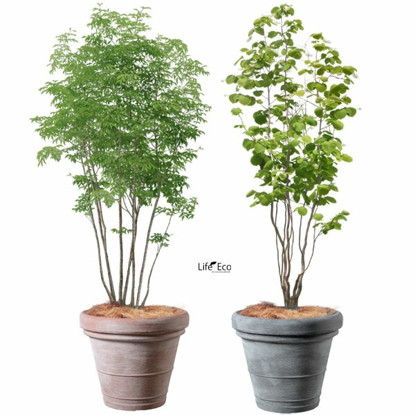 植木鉢 軽量 大型 ボルドー ラウンド グレー（灰）φ85cm×H70cm（28号）【大型貨物扱い】【法人配達】【パレット配送・送料お見積り】