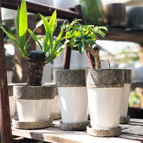 植木鉢（陶器製インテリアポット）【1セット限り】ポプラント トール φ9.5cm×Ｈ15cm（3号・3寸）【3個入】【在庫処分品】【送料D】