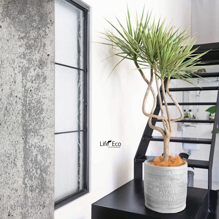 植木鉢 陶器製（ラスティック） ジャヤ シリンダー ホワイト（白） φ40cm×H41cm（13号）【送料F】