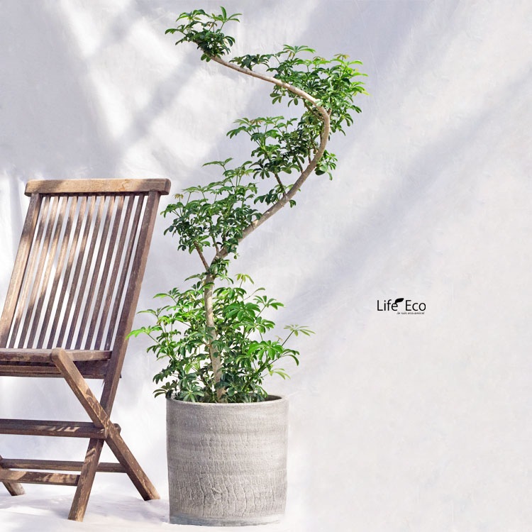 植木鉢 陶器製（ラスティック） ジャヤ シリンダー ホワイト（白） φ40cm×H41cm（13号）【送料F】