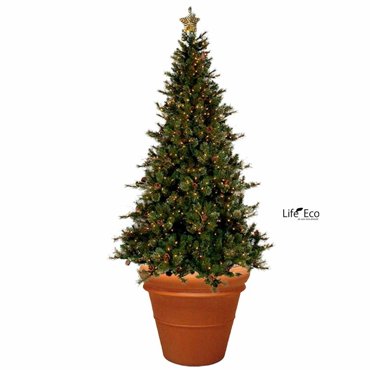 素焼き　テラコッタツリー 植木鉢 大型 素焼き テラコッタ鉢 リムポット 42cm（14号）DE-31420