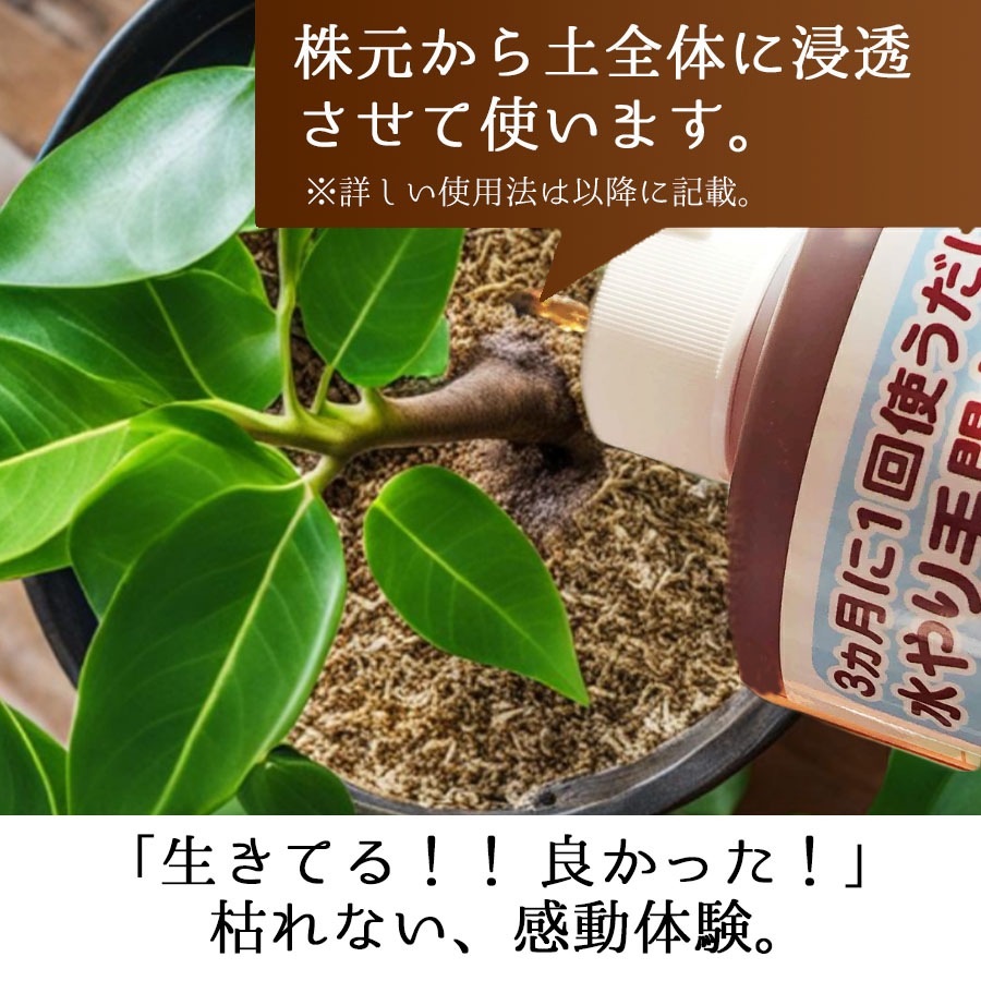 旅行 出張 不在 植物管理 水やり自動 らく 水やり当番 水やり回数半減 水やりヘルパー　200ml お手軽タイプ【3個入】／植物用土壌保水剤 保湿材【送料L】