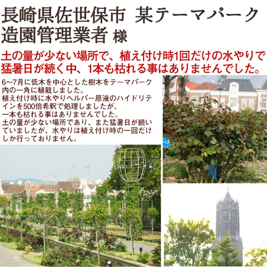 旅行 出張 不在 植物管理 水やり自動 らく 水やり当番 水やり回数半減 水やりヘルパー　200ml お手軽タイプ【3個入】／植物用土壌保水剤 保湿材【送料L】