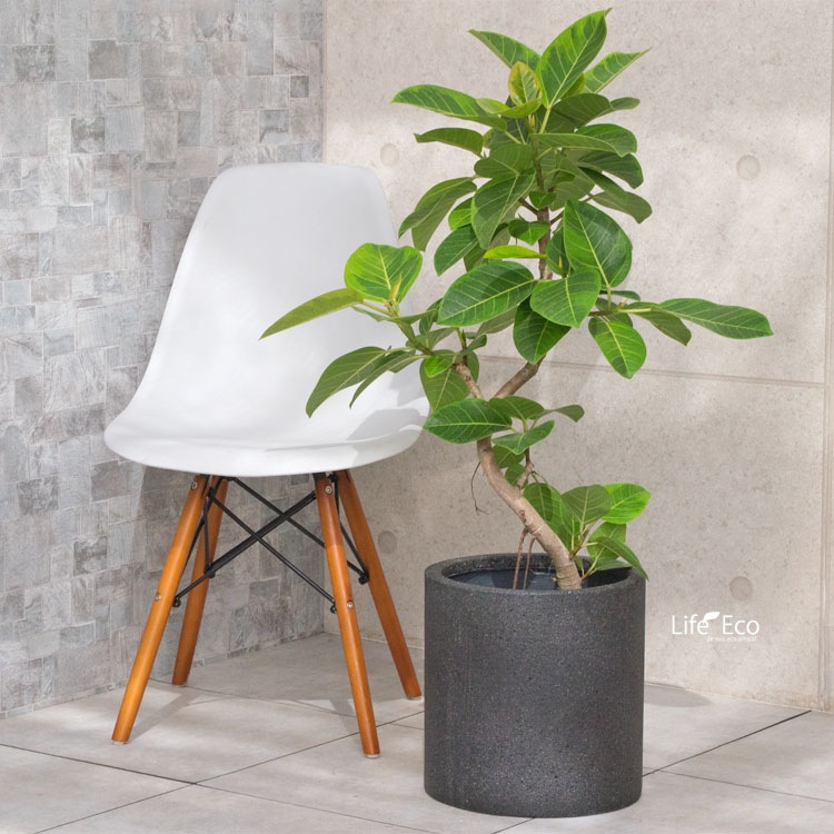 植木鉢 軽量 ファイバーセメント製 コーディル シリンダー ブラック（黒）/ φ39×H39cm（13号）【送料E】