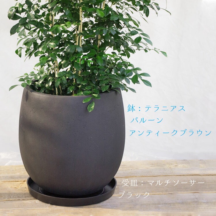 植木鉢用専用受皿 樹脂製 マルチソーサー ラウンド ブラック（黒