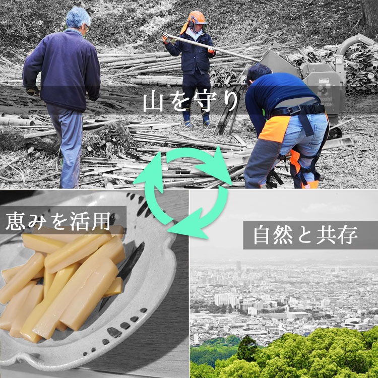 久留米 高良山の竹林でつくった無添加 高級メンマ 【赤メンマ×3袋、白メンマ×3袋】【送料F】