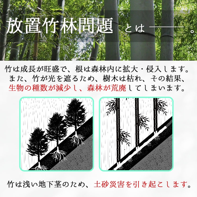 久留米 高良山の竹林でつくった無添加 高級メンマ 【赤メンマ×3袋、白メンマ×3袋】【送料F】