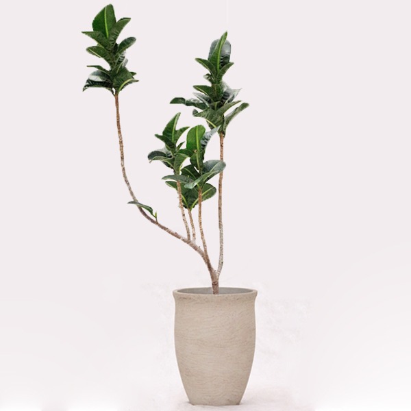 植木鉢【一点限り】RCポット トールカーブ グレーウォッシュ φ27.5cm×H37cm（9号・9寸）【在庫処分品】【送料E】