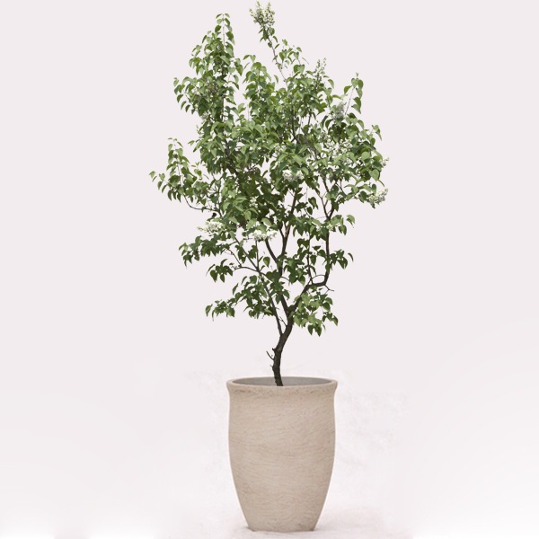 植木鉢【一点限り】RCポット トールカーブ グレーウォッシュ φ27.5cm×H37cm（9号・9寸）【在庫処分品】【送料E】