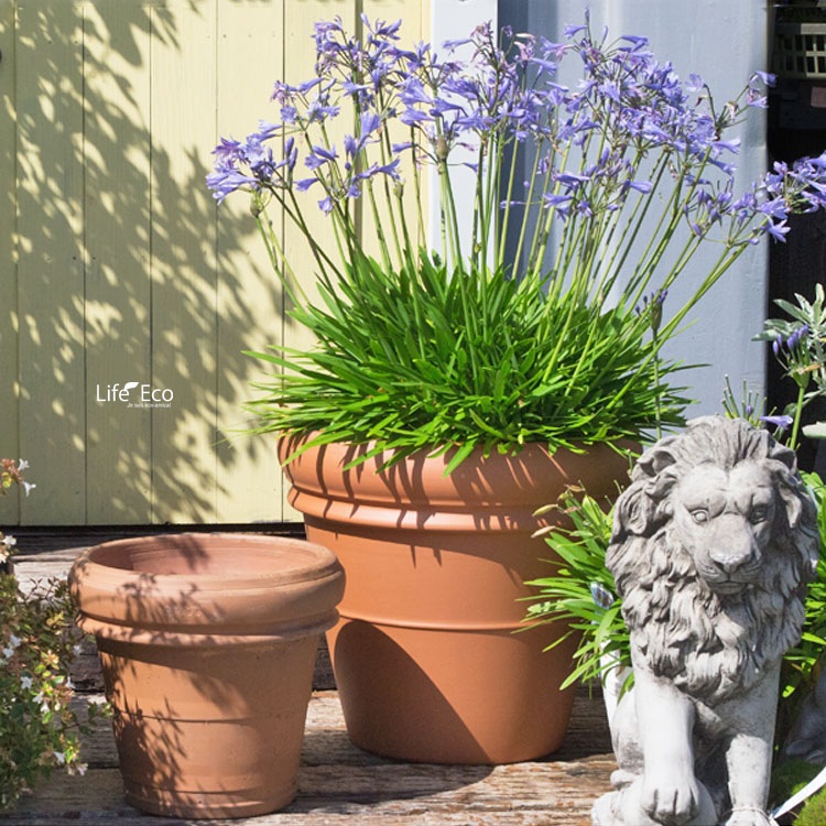 植木鉢 大型 おしゃれ イタリア製 素焼き テラコッタ鉢 リムポット 47cm（16号）【送料G】