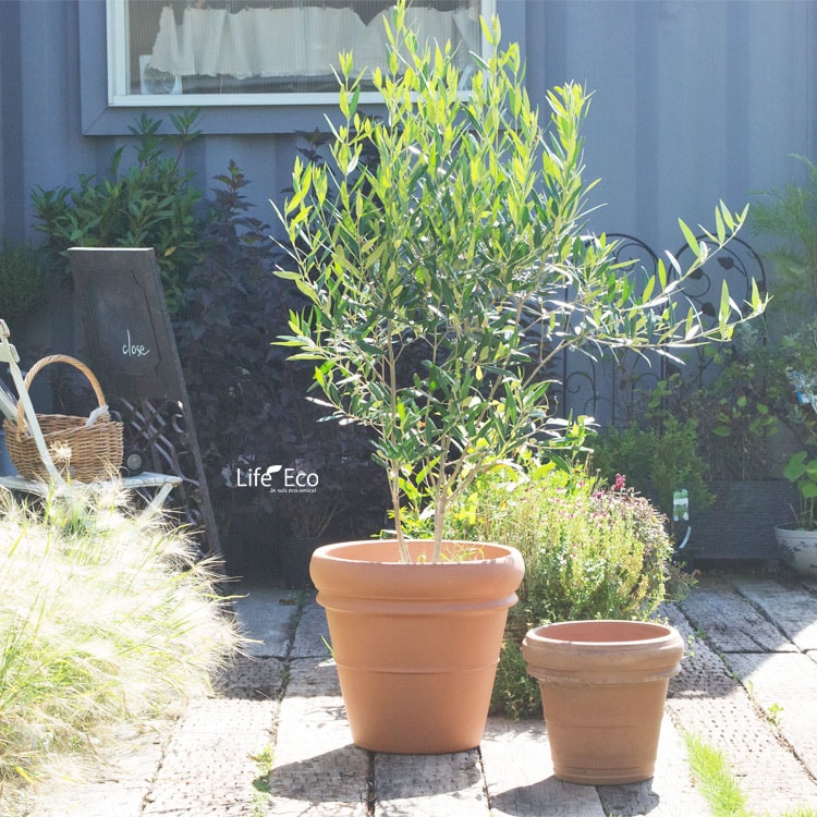 植木鉢 大型 おしゃれ イタリア製 素焼き テラコッタ鉢 リムポット 47cm（16号）【送料G】