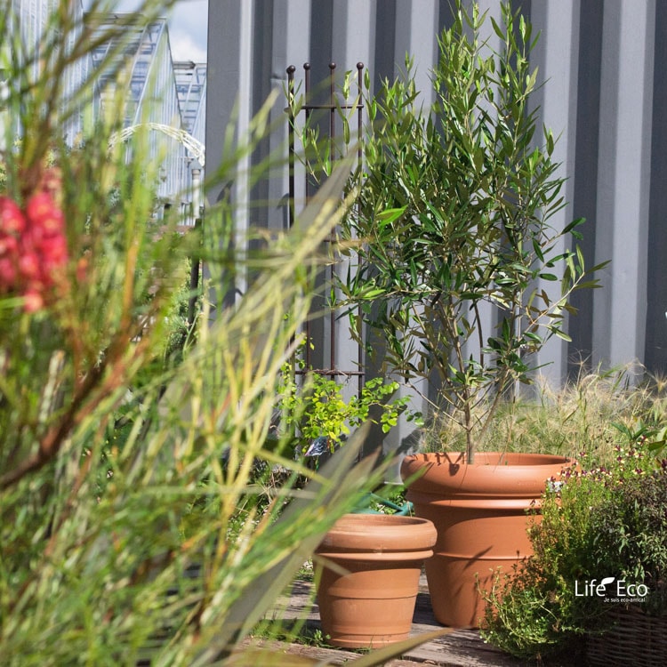 植木鉢 大型 素焼き テラコッタ鉢 リムポット 47cm（16号）DE-31470