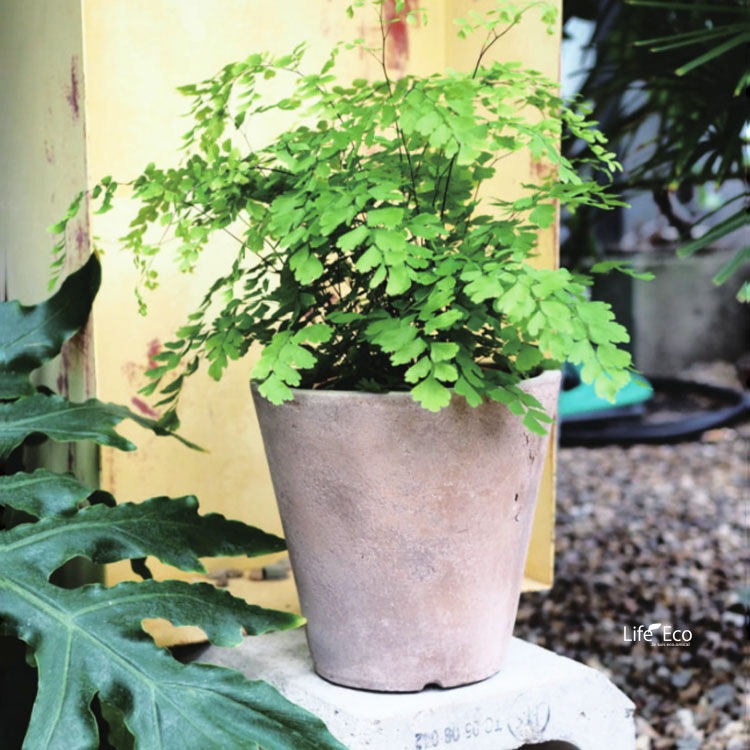 植木鉢 大型 アンティーク調 素焼き テラコッタ製 ルーガ アンティコ ソリッド φ43cm×H40cm（14号）【送料F】