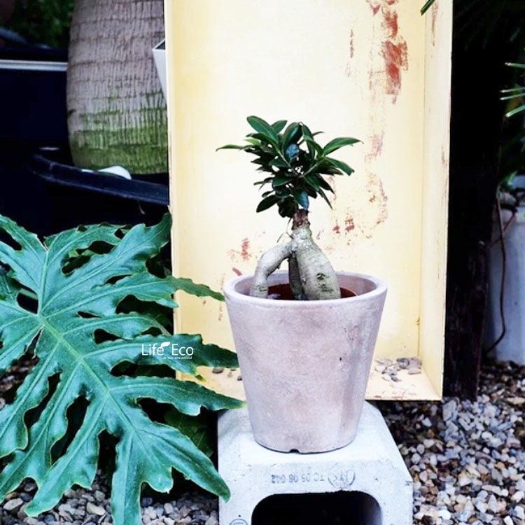 植木鉢 大型 アンティーク調 素焼き テラコッタ製 ルーガ アンティコ ソリッド φ43cm×H40cm（14号）【送料F】