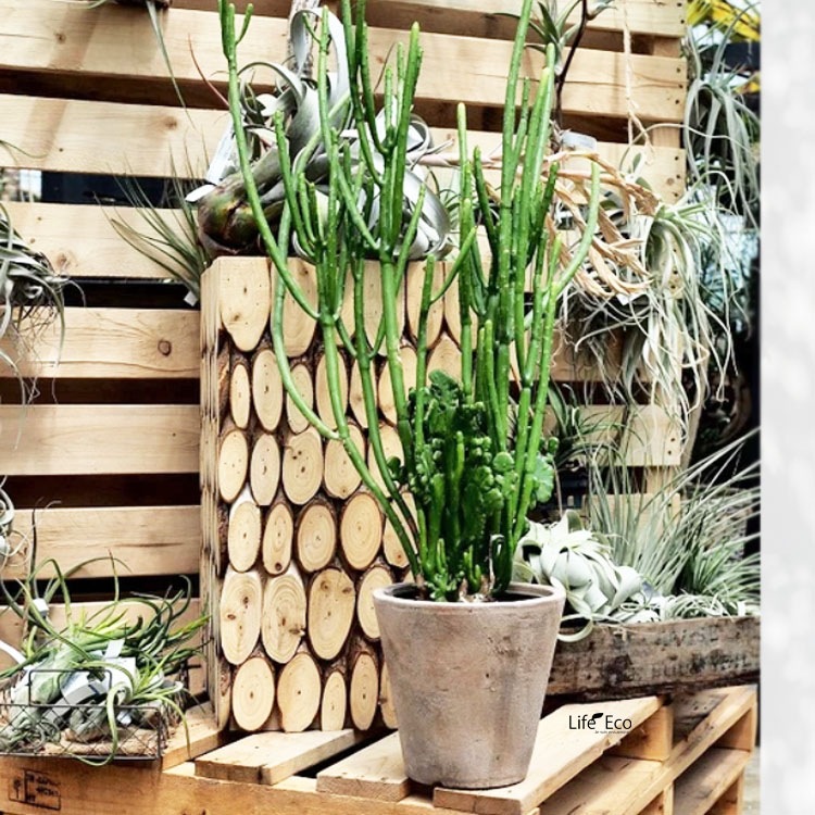 植木鉢 大型 アンティーク調 素焼き テラコッタ製 ルーガ アンティコ ソリッド φ43cm×H40cm（14号）【送料F】