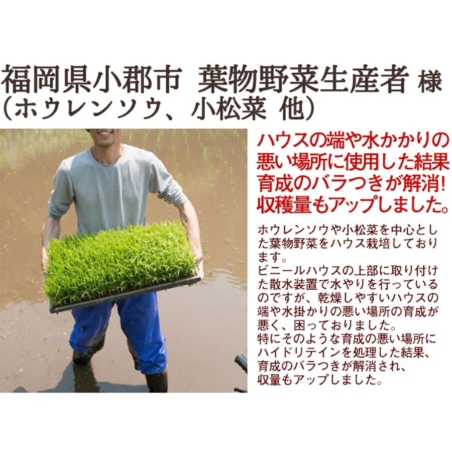 水やりヘルパー原液 ハイドリテインESプラス 1L 業務用 ／植物用土壌保水剤 保湿材【送料L】