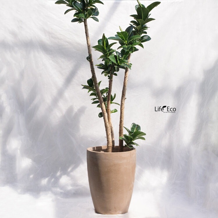 植木鉢 大型 軽量 ファントム ミドル ブラウン（茶）φ42cm×H52cm（14号