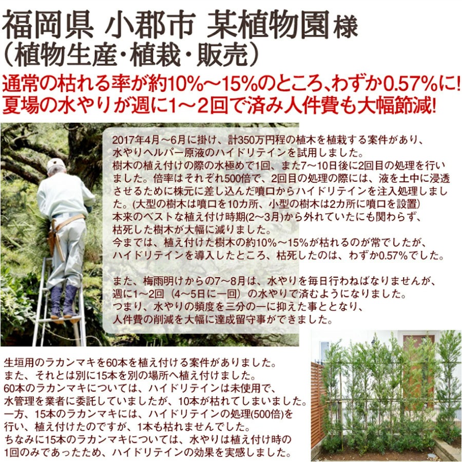 水やりヘルパー原液 ハイドリテインESプラス 4L 業務用 ／植物用土壌保水剤 保湿材【送料無料】