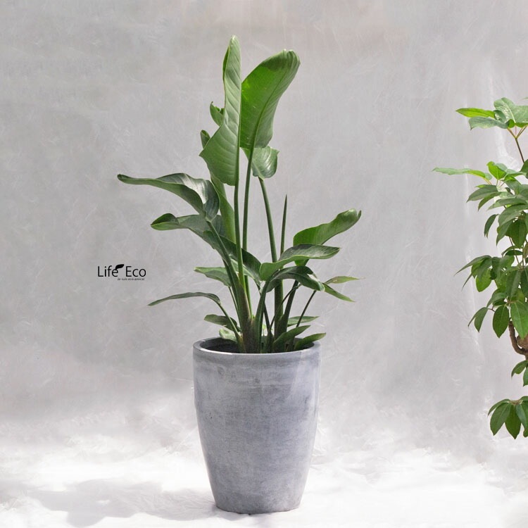 植木鉢 大型 軽量 ファントム ミドル グレー（灰） φ42cm×H52cm（14号）【送料F】
