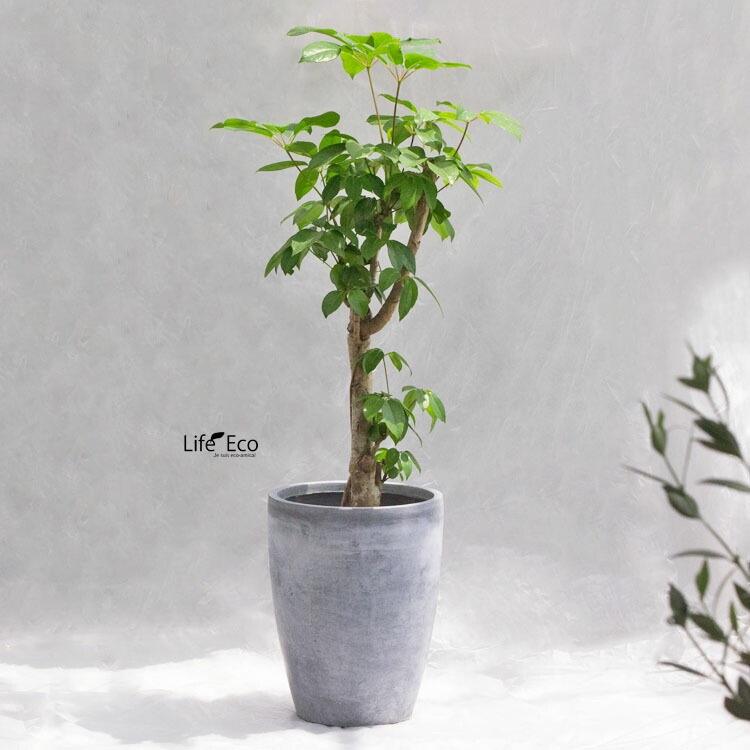 植木鉢 大型 軽量 ファントム ミドル グレー（灰） φ42cm×H52cm（14号）【送料F】