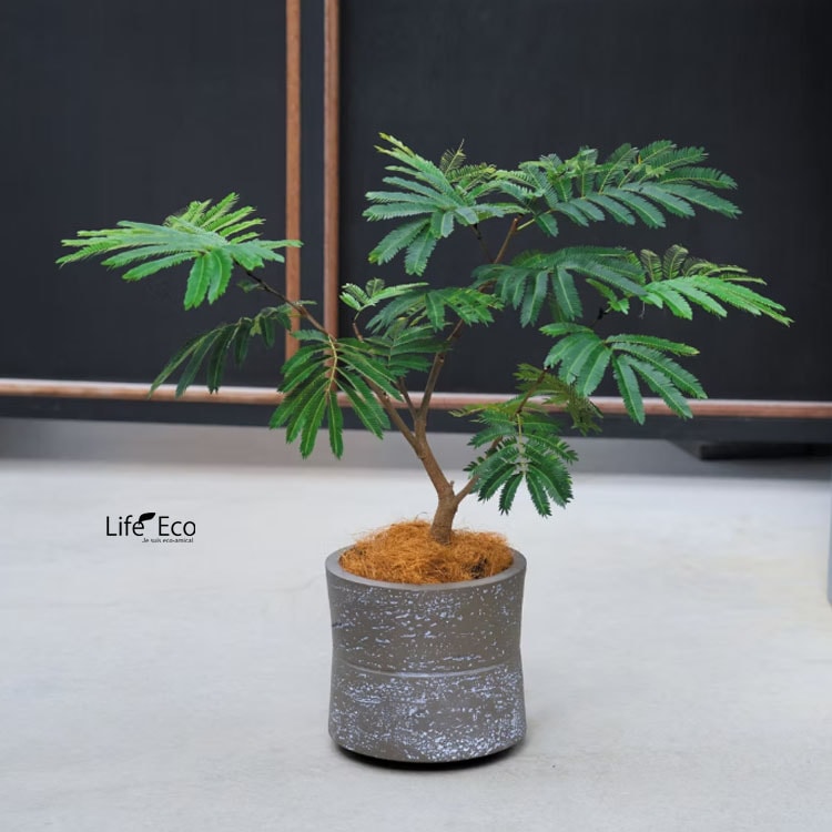 植木鉢 大型 軽量 ファイバークレイ製 ホルム（HORLUM） ナロー ブラウン（茶） φ42.5cm×H37cm（14号・14寸）【送料F】