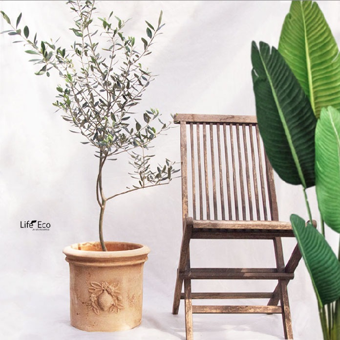 植木鉢 テラコッタ製 アンティーク調 素焼き鉢 リモーネ ラウンド アンティークグレー（灰） / φ36cm×H31.7cm（12号）【送料E】