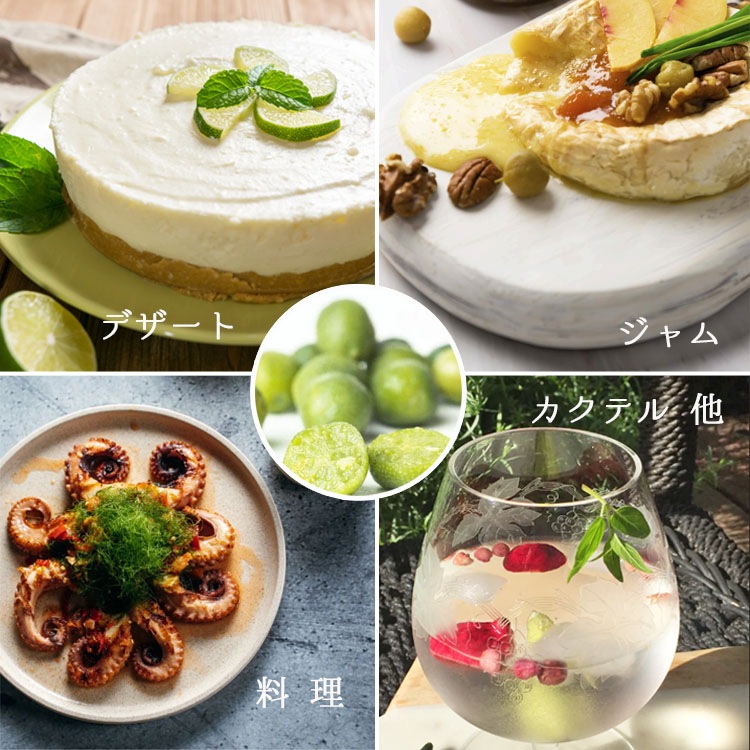 庭木・植木 デザートライム（シトラスキャビア） / 5寸・約H75～95cm【送料E】