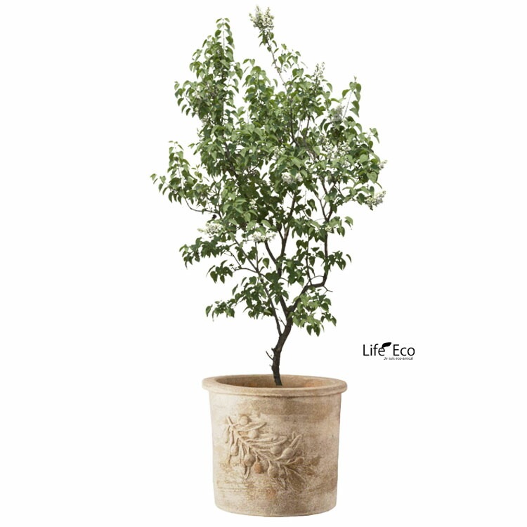 植木鉢 アンティーク調 素焼き テラコッタ鉢 オリーブ ラウンド アンティコ φ33cm×H29cm（11号）【送料E】