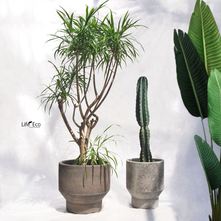 植木鉢 テラコッタ製 ハウズ（HOUZ） ミドルラウンド アンティークライトグレー（灰色） / φ23cm×H28cm（8号）【送料E】
