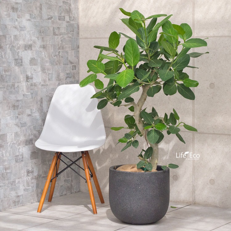 植木鉢 軽量 ファイバーセメント製 コーディル Uポット ブラック（黒）/ φ46×H41cm（15号）【送料E】