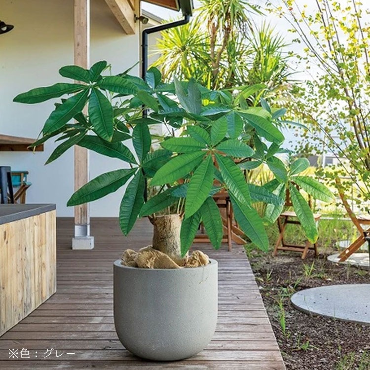 植木鉢 軽量 ファイバーセメント製 コーディル Uポット ブラック（黒）/ φ46×H41cm（15号）【送料E】
