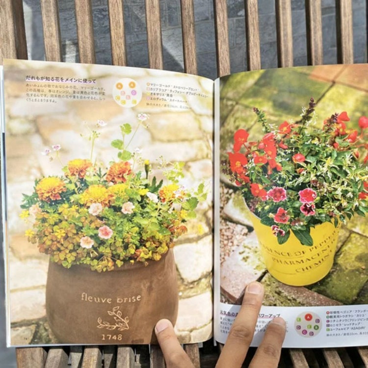 ［書籍］植物色の毎日 / 元気で活きのいい植物＆マルシェ オニヅカ店長 井上盛博（主婦の友社）【送料無料】