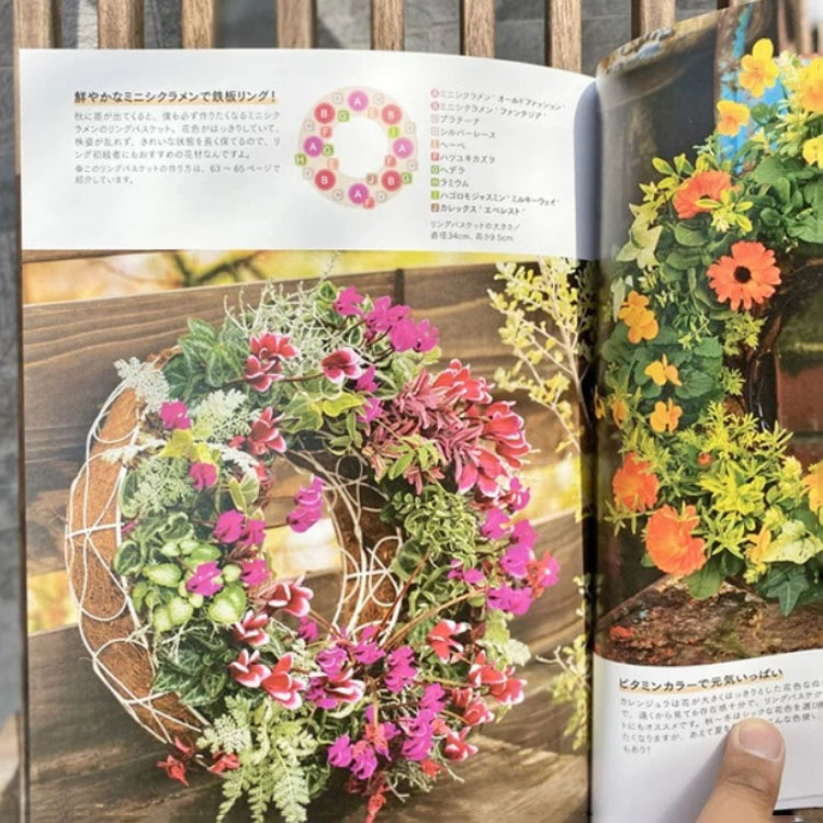 ［書籍］植物色の毎日 / 元気で活きのいい植物＆マルシェ オニヅカ店長 井上盛博（主婦の友社）【送料無料】