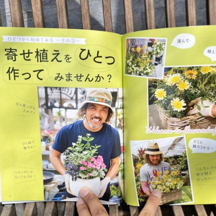 ［書籍］植物色の毎日 / 元気で活きのいい植物＆マルシェ オニヅカ店長 井上盛博（主婦の友社）【送料無料】