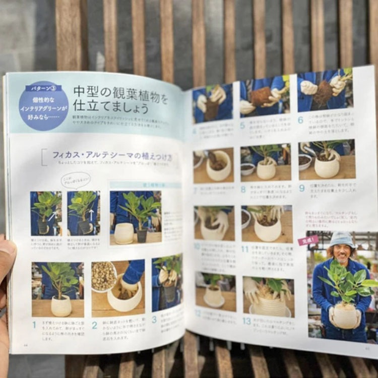 ［書籍］植物色の毎日 / 元気で活きのいい植物＆マルシェ オニヅカ店長 井上盛博（主婦の友社）【送料無料】